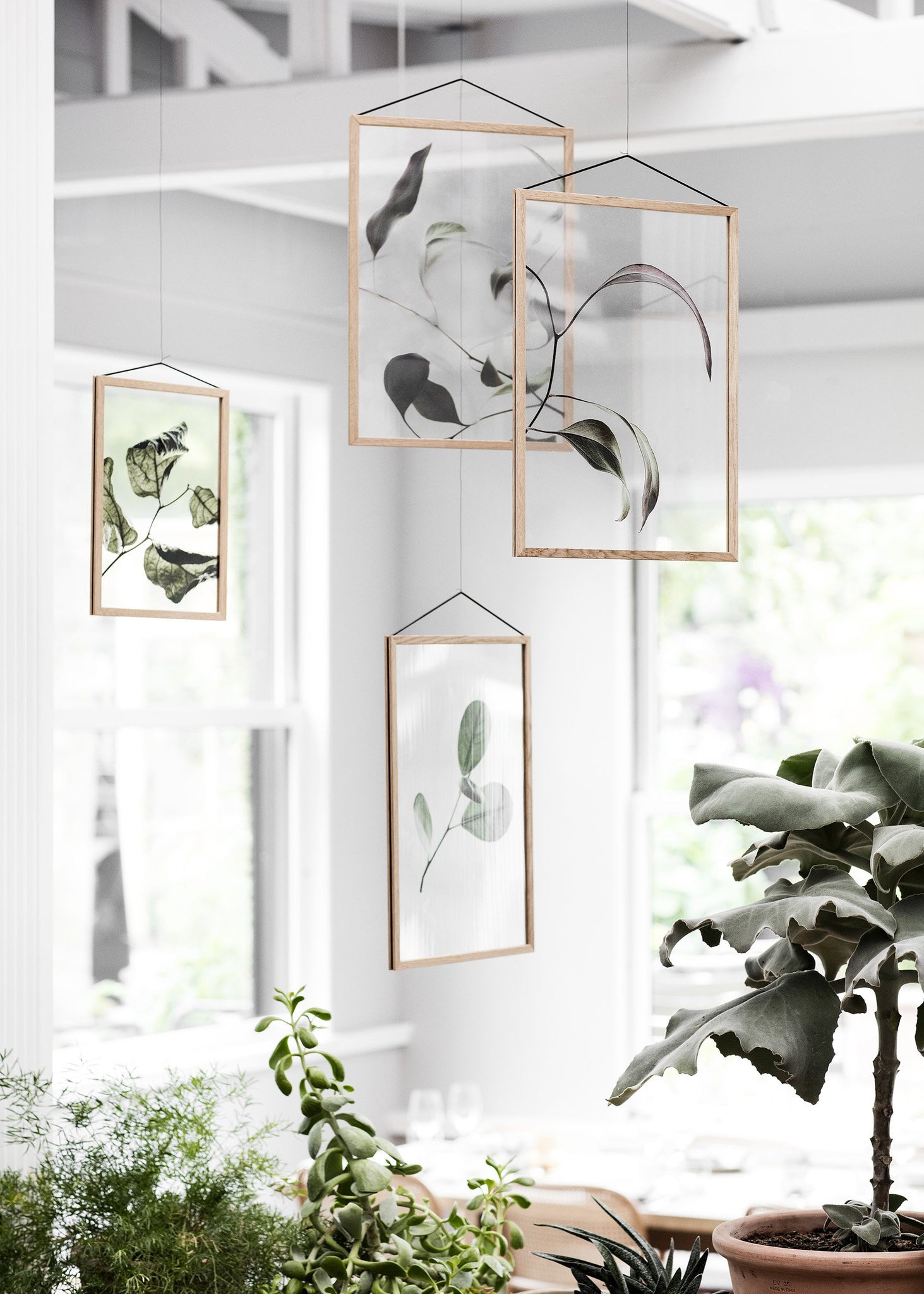 Floating Leaves NO.3 - A2 Print only – MOEBE - OLD