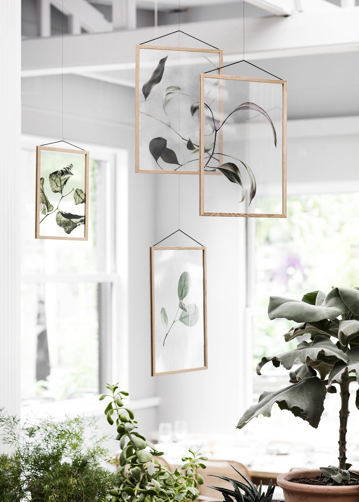Floating Leaves NO.3 - A2 Print only