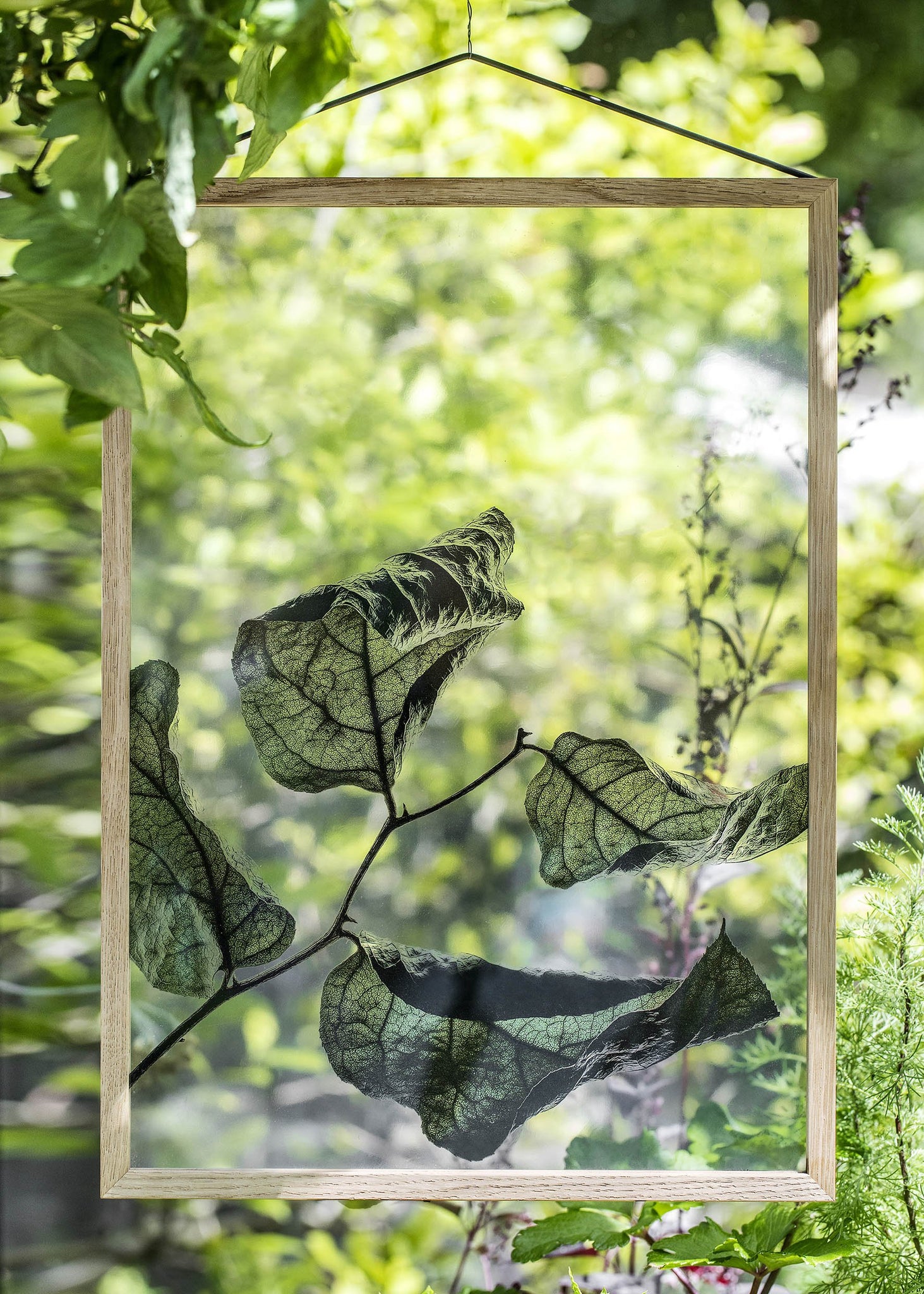 Floating Leaves NO.3 - A2 Print only – MOEBE - OLD