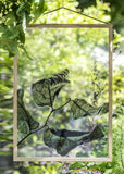 Floating Leaves NO.3 - A2 Print only