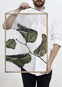 Floating Leaves NO.3 - A2 Print only