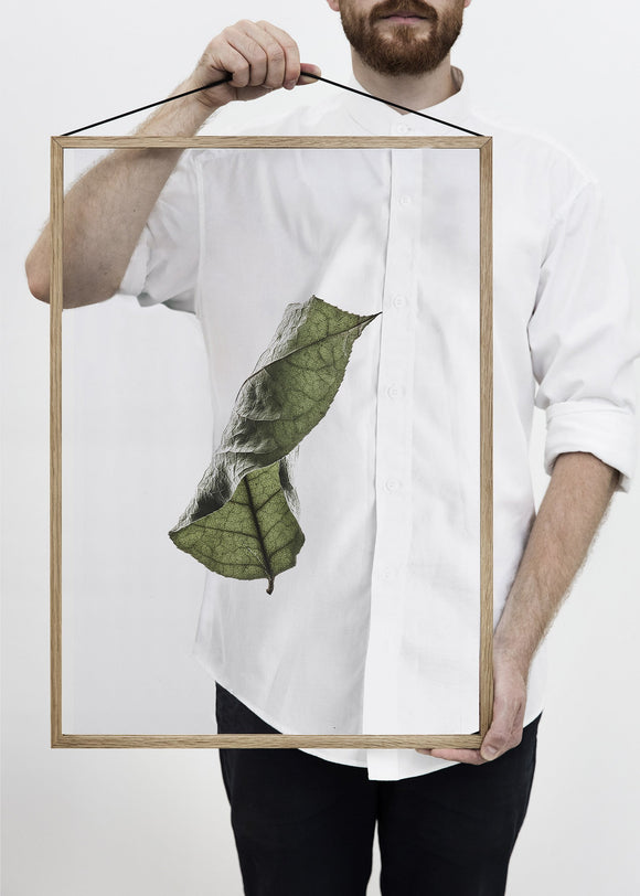 Floating leaves NO.4 - A2 Print only
