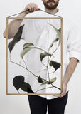 Floating Leaves NO.9 - A2 Print only