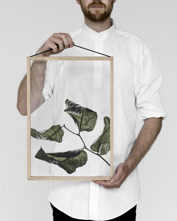 Floating Leaves NO.3 - A3 Print only