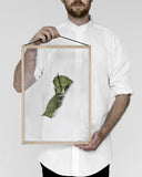 Floating Leaves NO.4 - A3 Print only