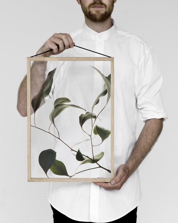 Floating Leaves NO.9 - A3 Print only