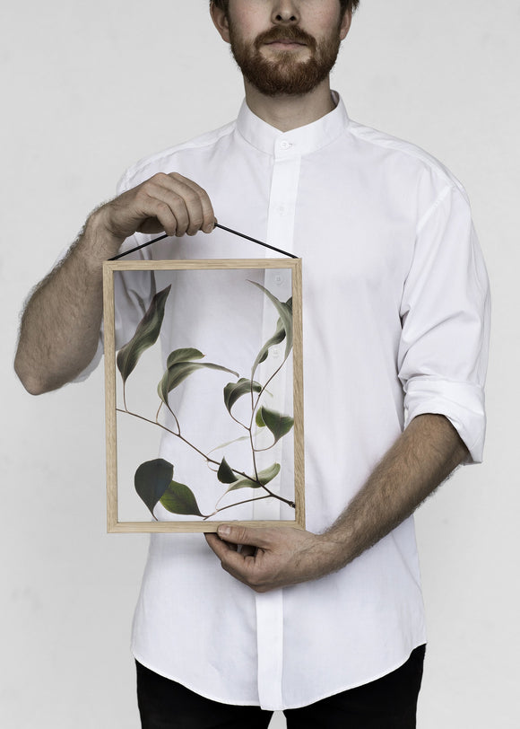 Floating Leaves NO.9 - A4 Print only